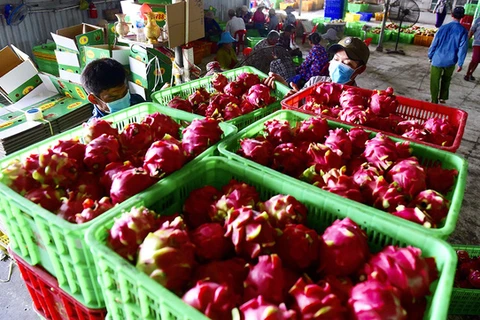 EVFTA helps boost Vietnam’s agricultural exports to EU 