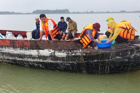 Tay Ninh releases fish fry into reservoir to regenerate fishery resources