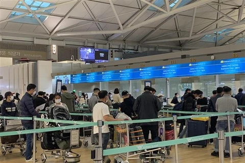Nearly 450 Vietnamese citizens flown home from RoK