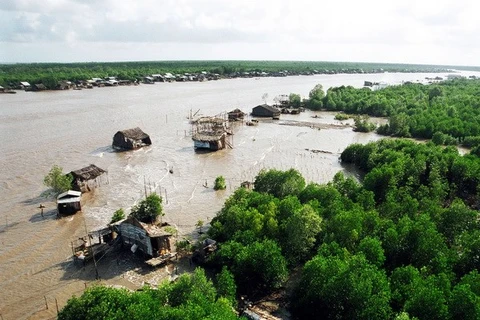 HSBC, WWF Vietnam join hands to recover submerged forests