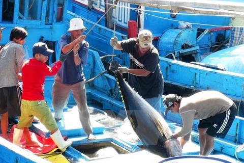 Tuna exports to Italy soar in September