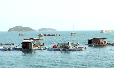 Vietnam seeks sustainable development of fisheries