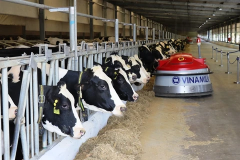Numerous dairy firms enjoy profit growth in Q3