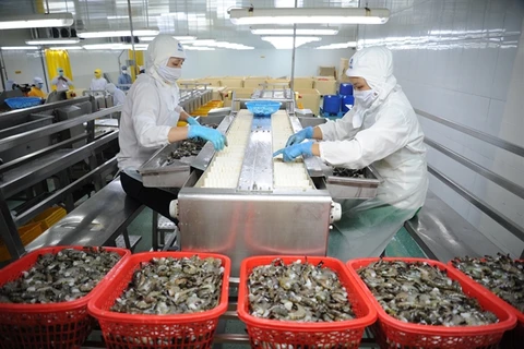 Mekong Delta’s seafood exports recover