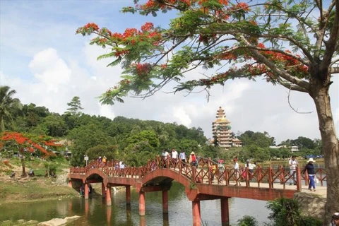 Mekong Delta provinces hope to revive battered tourism industry 
