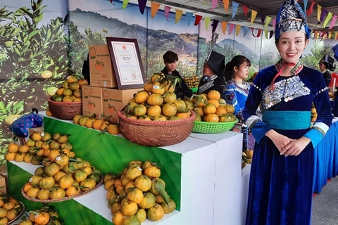 Muong Khuong mandarin week opens in Hanoi