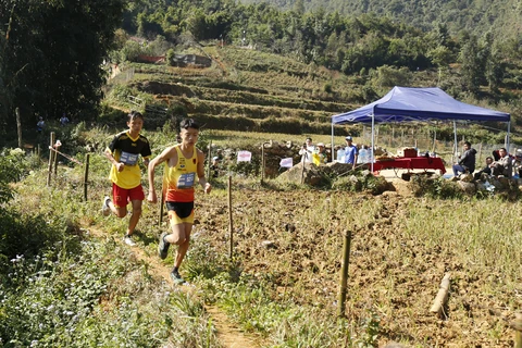Domestic runners triumph at Vietnam Mountain Marathon 2020