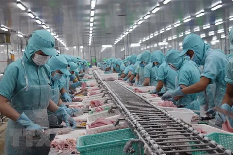 Tra fish export value expected to hit 1.5 billion USD this year 