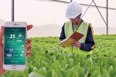 Vietnam promoting hi-tech farming