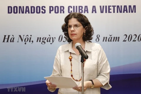 Vietnam-Cuba solidarity model for int’l relations: diplomat