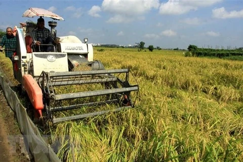 Vietnam to work to ensure food security