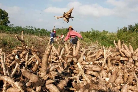 ADB approves loans worth 70 million USD for Cambodia’s agriculture