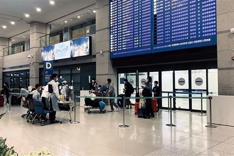 More Vietnamese citizens brought home from RoK, Japan 