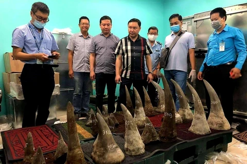 Over 90kg of suspected rhino horns seized at Tan Son Nhat airport 