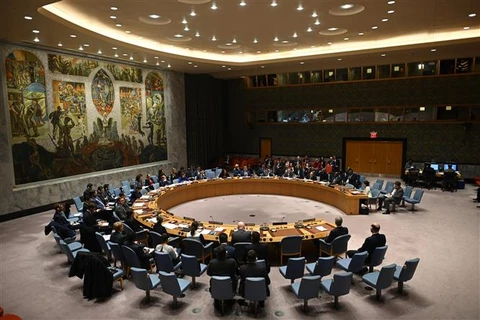 UNSC terminates mandate of UN-African Union hybrid operation in Darfur