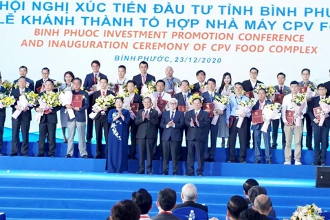 Binh Phuoc grants investment licences to 46 projects