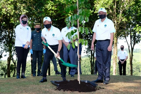 Malaysia PM launches tree planting campaign