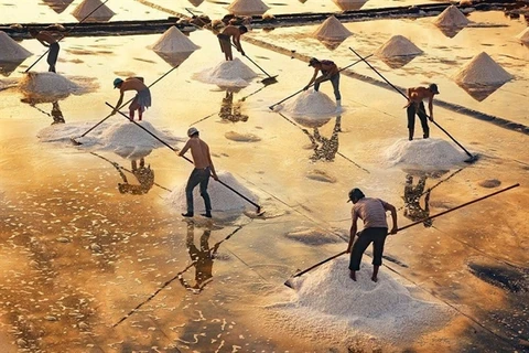 Salt-making craft in Bac Lieu named national heritage