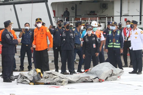 Indonesian President expresses condolences to families of plane crash victims
