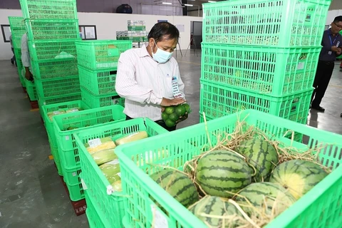 Fruit and vegetable purchasing, distribution centre opens in Tien Giang