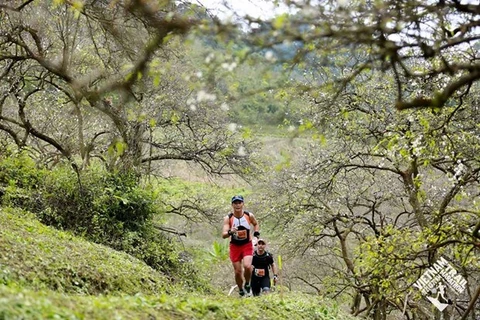Over 4,300 runners to race in Vietnam Trail Marathon in Son La