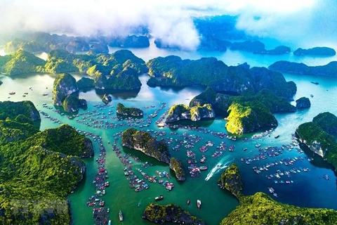 Ha Long Bay-Cat Ba Archipelago to seek world heritage recognition