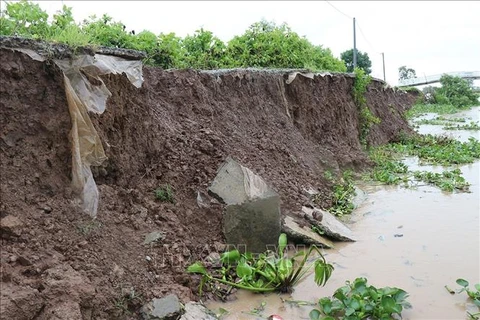 Bac Lieu: 838 mln USD earmarked for anti-erosion efforts by 2030