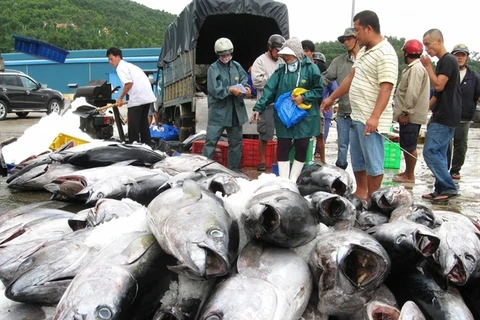 Vietnam's tuna exports to US increase