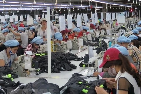 Vietnam earns 2.6 billion USD from garment exports in January