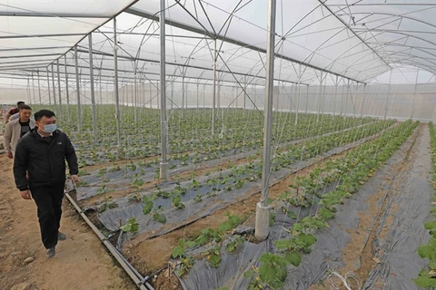 High-tech farming needs investment and proper policies