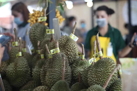 Thailand to become world’s top durian producer in five years