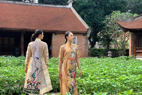 Veteran movie stars turn models in ao dai fashion show 