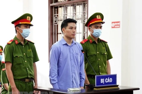 Hoa Binh: mother, son jailed for anti-State propaganda