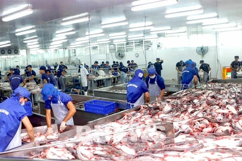 Seafood exports to go up by 10 percent in Q2