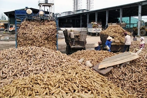 Indonesia enjoys yearly export quota of 165,000 tonnes of cassava to EU