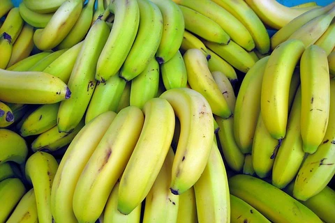 Cambodia exports over 200,000 tonnes of bananas in five months