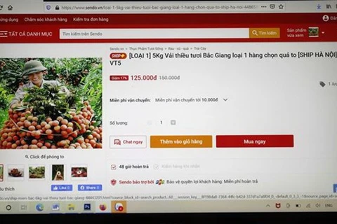 Bloomberg: Vietnam’s e-commerce growth potential alluring