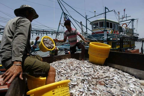 Thai government promotes sustainable fishing