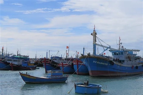 Organisations, individuals involved in IUU fishing to be punished strictly
