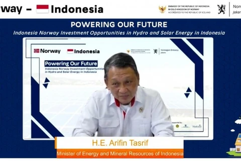 Indonesia outlines strategies for meeting carbon neutral target by 2060