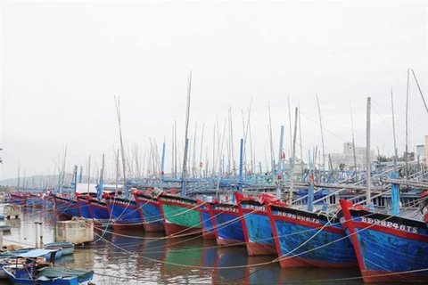 Binh Dinh proposes withdrawing two local ports from planning