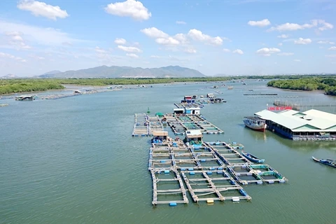 Ba Ria – Vung Tau protects its valuable marine resources 