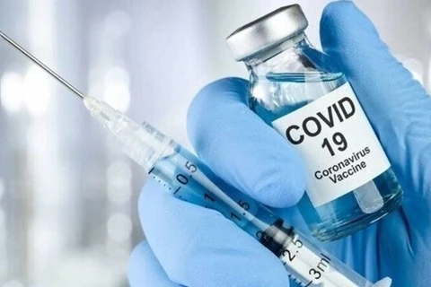 COVID-19 vaccines approved for use in Vietnam go through three clinical trial phases: ministry