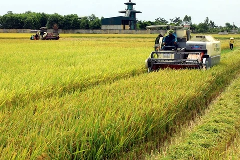 Vietnam’s supporting policies contribute to higher level of mechanisation in agriculture