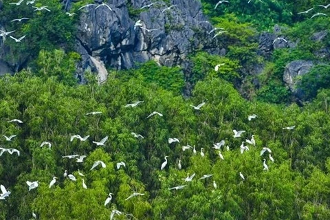 Vietnam promotes cooperation on nature preservation with WWF