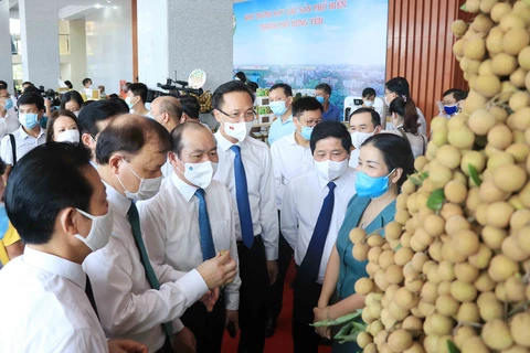 Teleconference seeks buyers for Hung Yen longan 