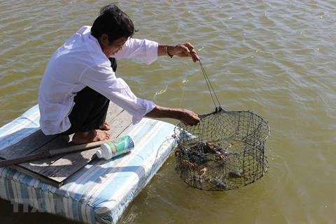 Ca Mau province acts to better protect environment in aquaculture 