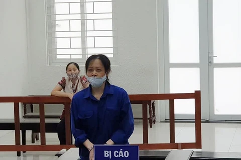 Hanoi woman sentenced to jail for anti-State activities