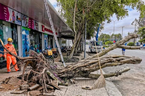 Strong winds, rains kill two in Mekong Delta, destroy houses, trees