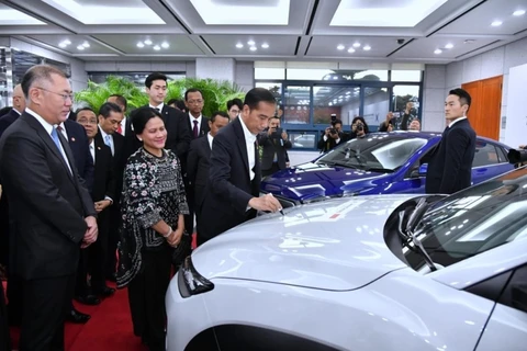 Indonesia plans to produce 600,000 electric cars by 2030